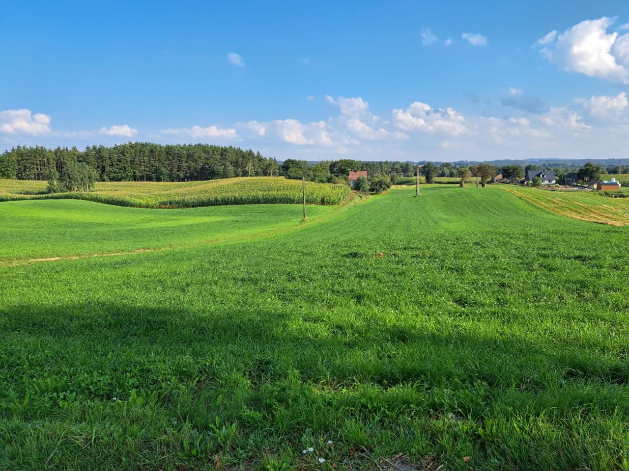 Działka siedliskowa Borzestowska Huta, brak
