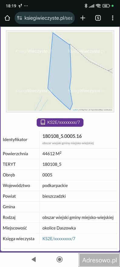 Działka leśna Daszówka. Zdjęcie 5
