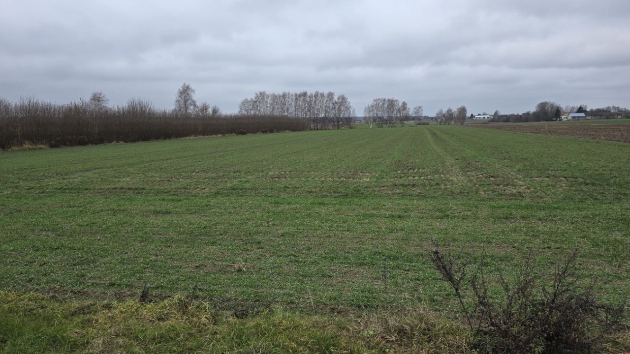 Działka budowlana Czemierniki