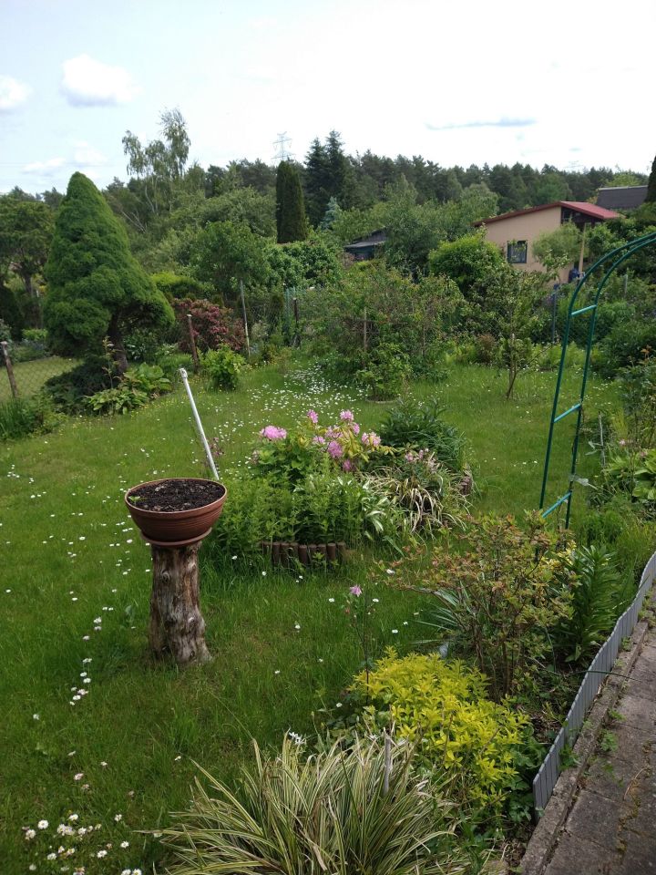 Działka rod Olsztyn. Zdjęcie 3