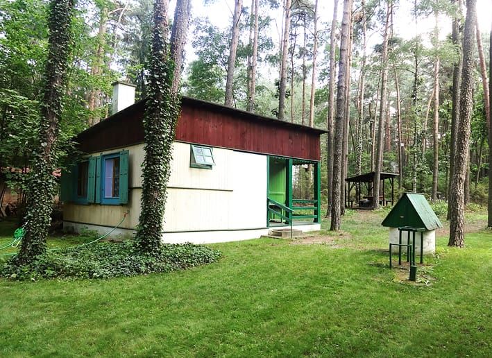 Działka budowlana Sokolniki-Las, ul. Adama Mickiewicza. Zdjęcie 12