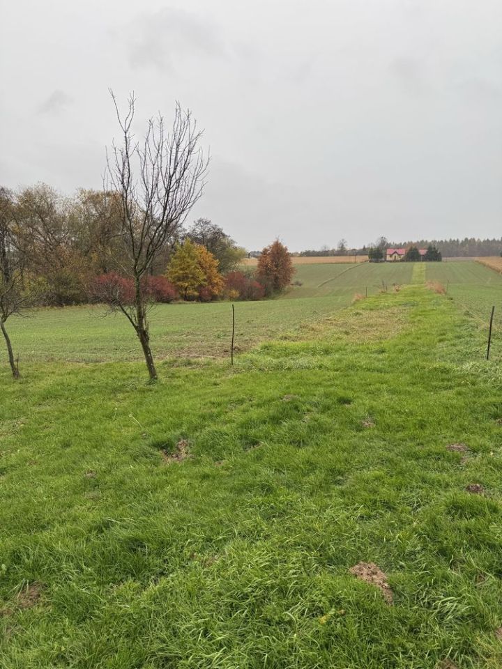 Działka rolna Stary Krasieniec. Zdjęcie 2