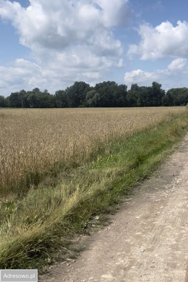 Działka budowlana Obórki. Zdjęcie 2