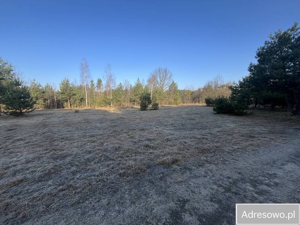 Działka siedliskowa Wytyczno. Zdjęcie 8