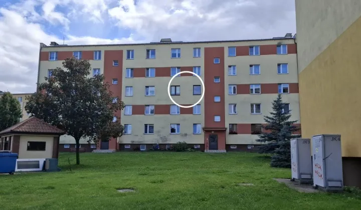 Mieszkanie 2-pokojowe Rypin, ul. ks. Cz. Lissowskiego