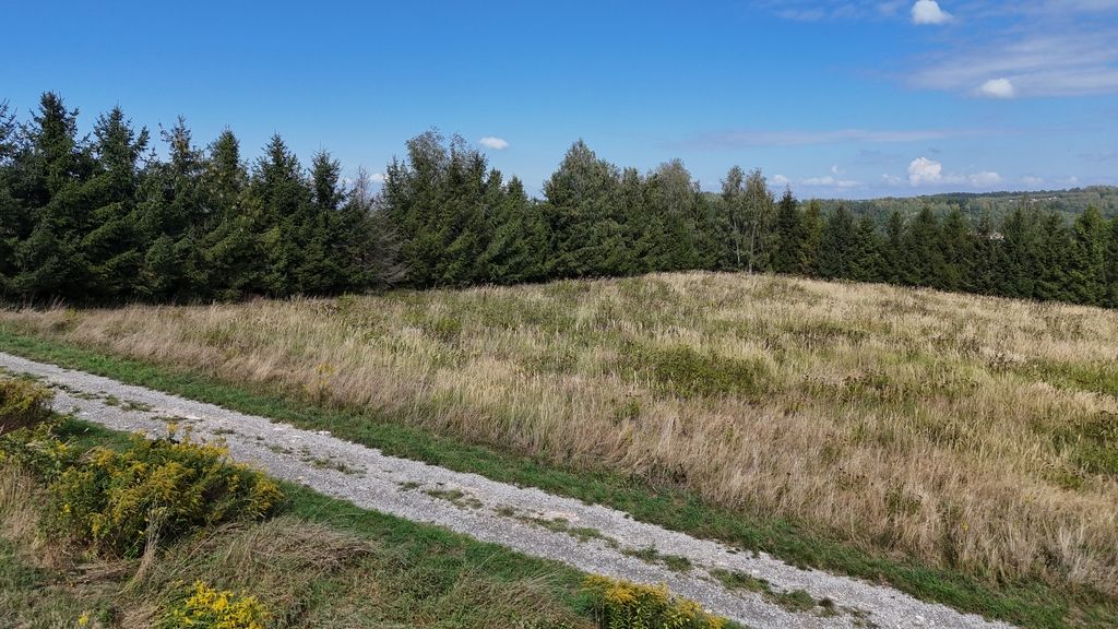 Działka budowlana Błażowa. Zdjęcie 5