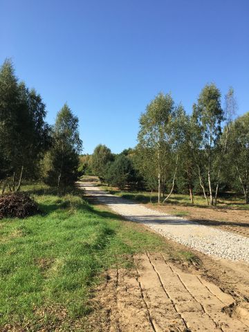 Działka budowlana Graniczna Wieś Pruska Karczma, ul. Jarzębinowa. Zdjęcie 1