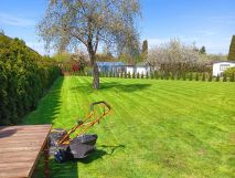 Działka rod Łódź Górna, ul. Romana. Zdjęcie 1