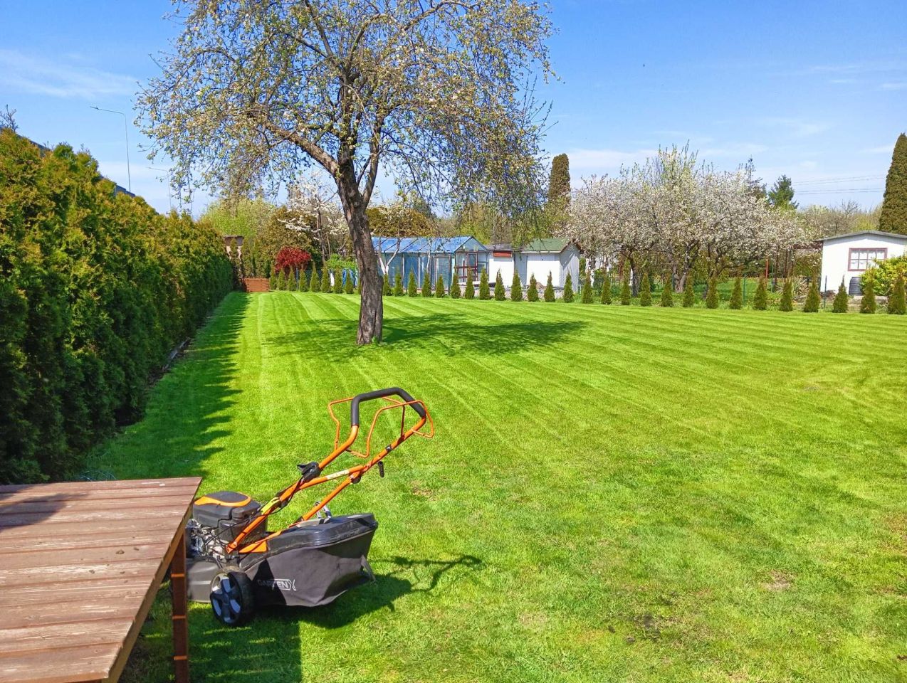 Działka rod Łódź Górna, ul. Romana. Zdjęcie 2