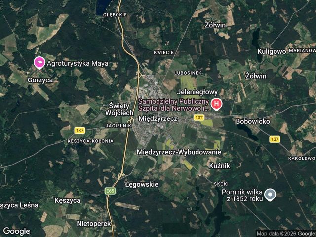 Działka rolno-budowlana Międzyrzecz Obrzyce, brak. Zdjęcie 1