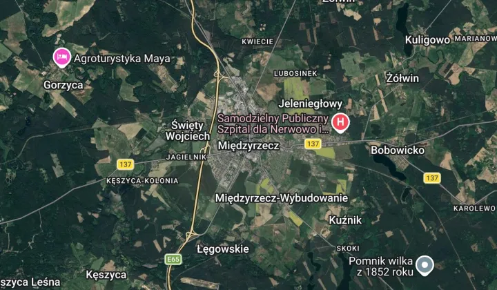 Działka rolno-budowlana Międzyrzecz Obrzyce, brak