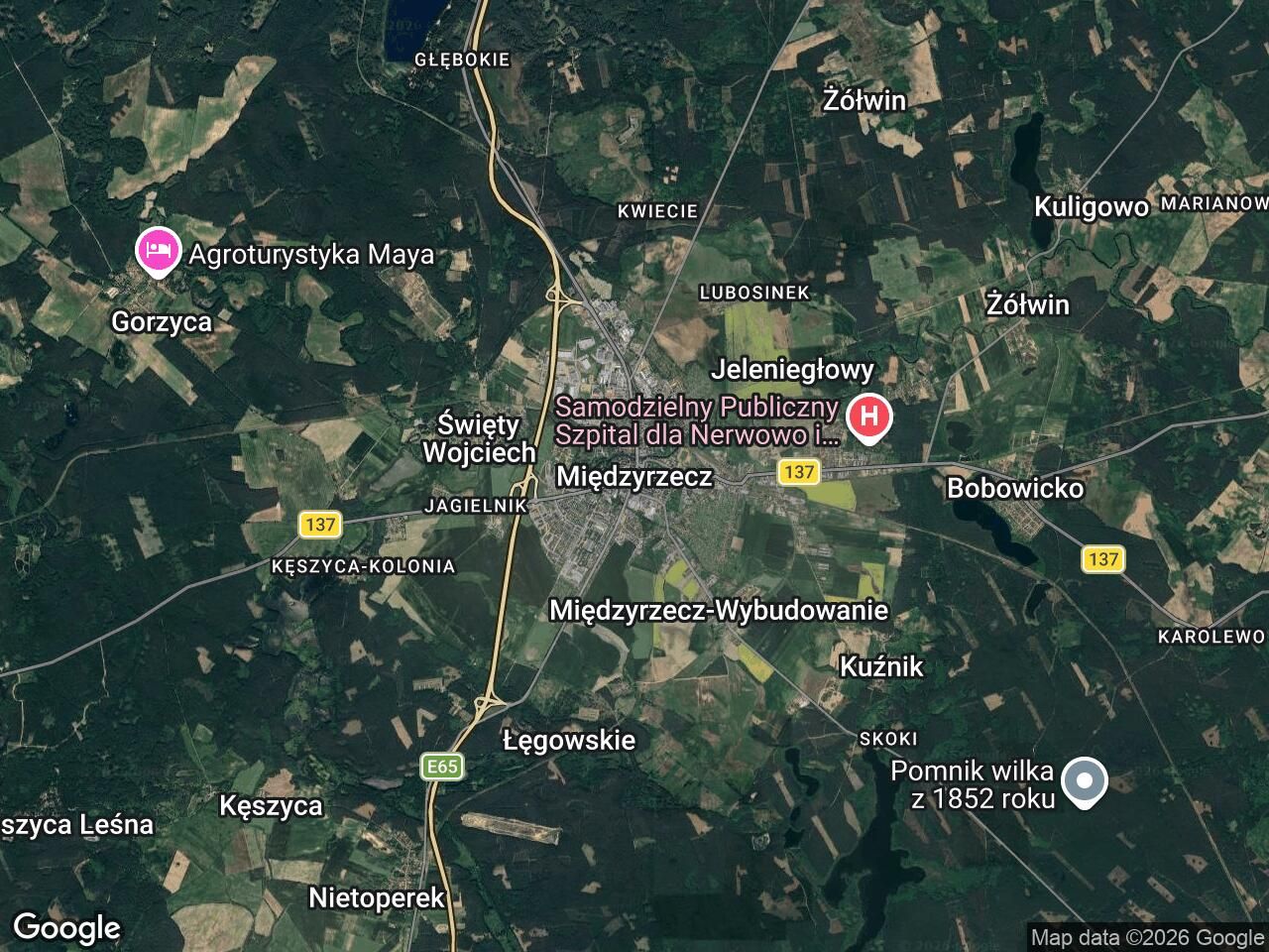 Działka rolno-budowlana Międzyrzecz Obrzyce, brak. Zdjęcie 1