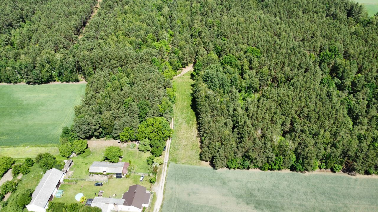 Działka rolno-budowlana Antonielów, brak. Zdjęcie 3