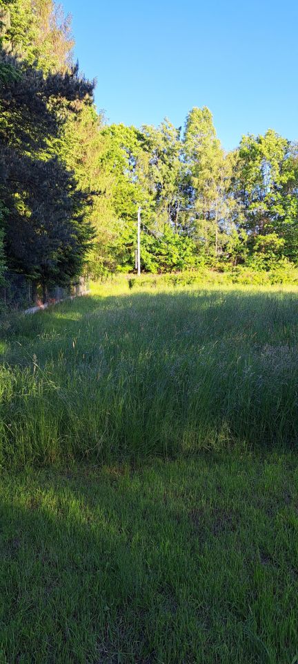 Działka inwestycyjna Wodzisław Śląski, ul. Polna. Zdjęcie 5