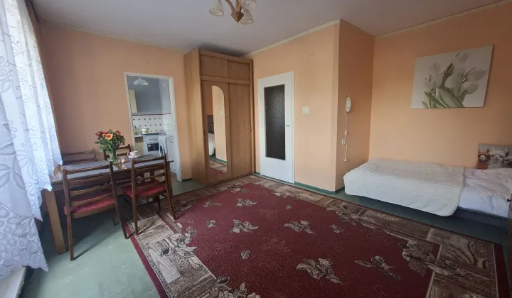 Mieszkanie 1-pokojowe Łódź Radogoszcz