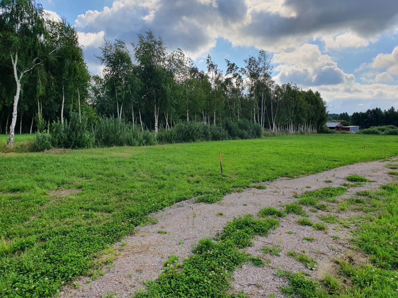 Działka rekreacyjna Karwia, ul. Mikołaja Kopernika. Zdjęcie 6