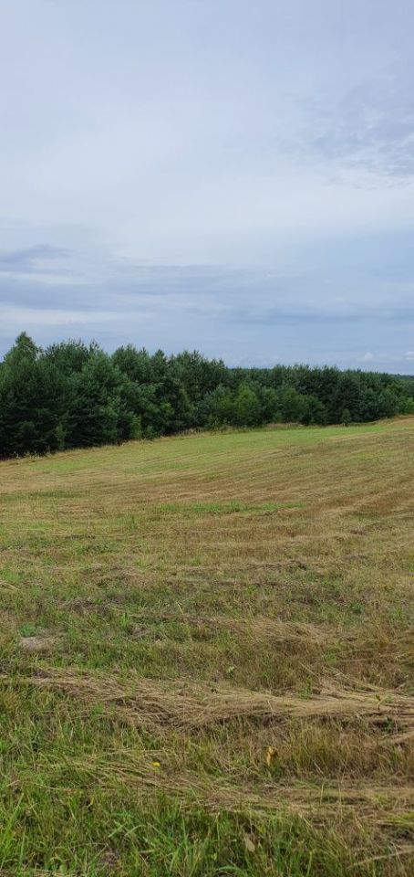 Działka siedliskowa Kolonia Bogoria. Zdjęcie 1