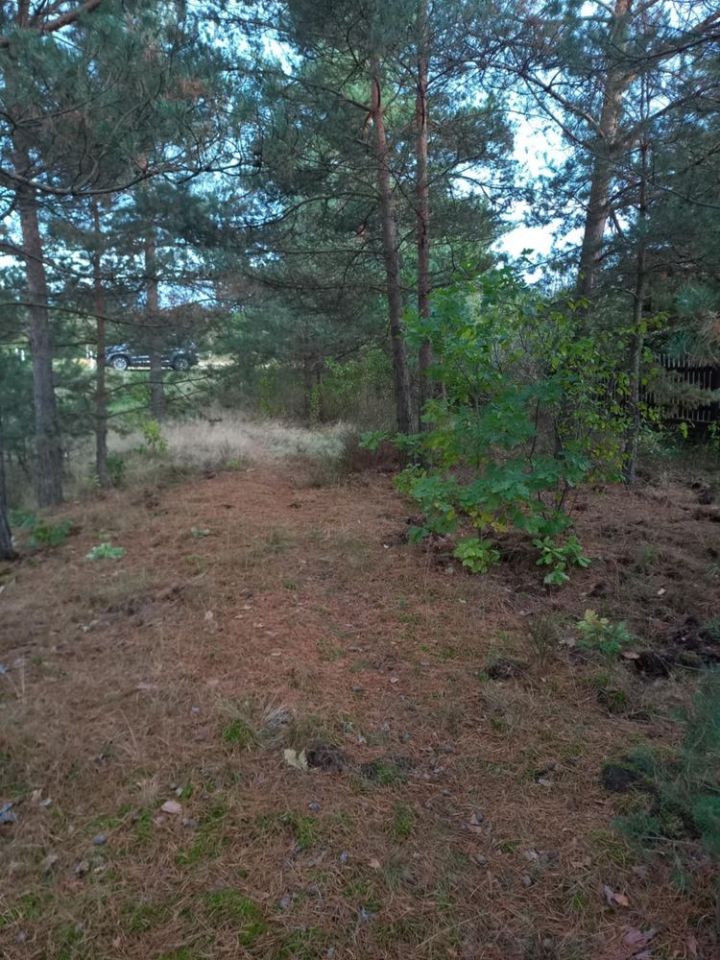 Działka rolna Górki. Zdjęcie 4