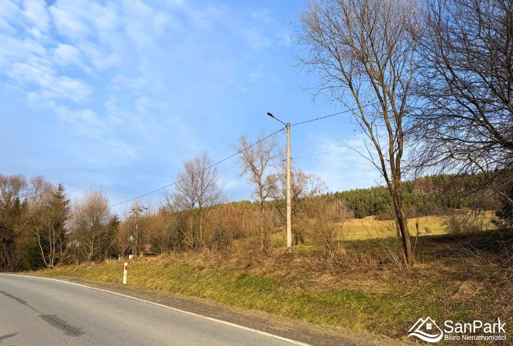 Działka rolna Ustrzyki Dolne. Zdjęcie 8