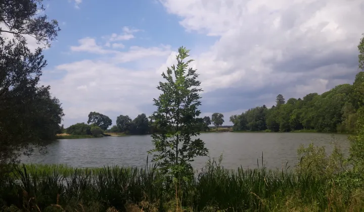 Działka budowlana Darżewo