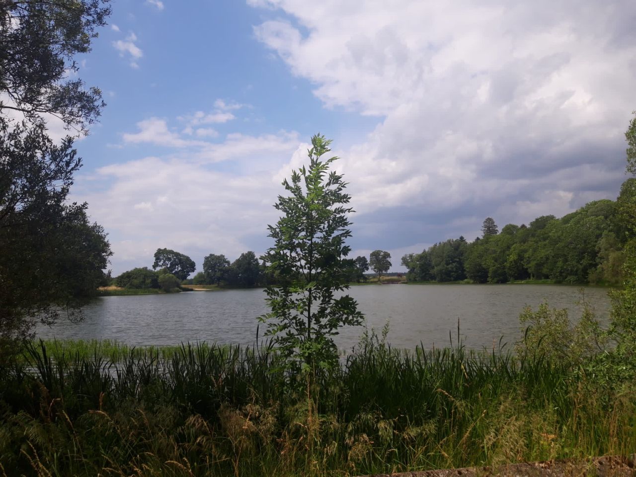 Działka budowlana Darżewo. Zdjęcie 1