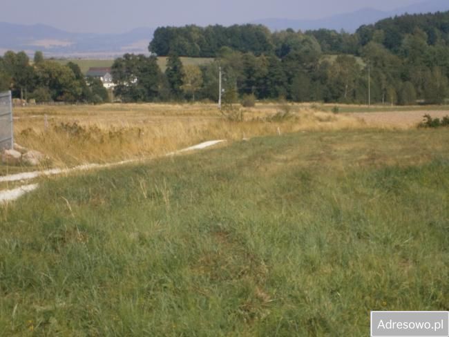 Działka rolno-budowlana Starkówek. Zdjęcie 5