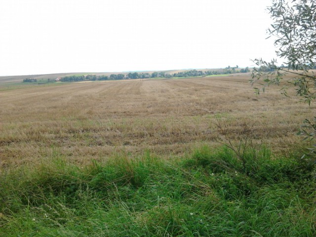 Działka rolna Obrażejowice. Zdjęcie 1