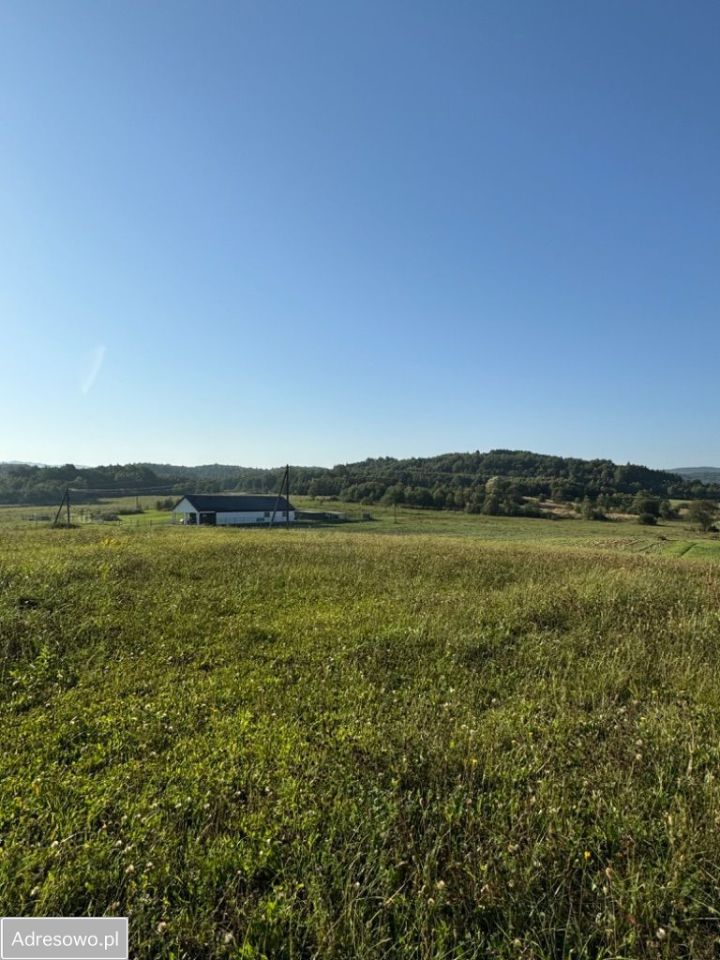 Działka budowlana Lipinki. Zdjęcie 18