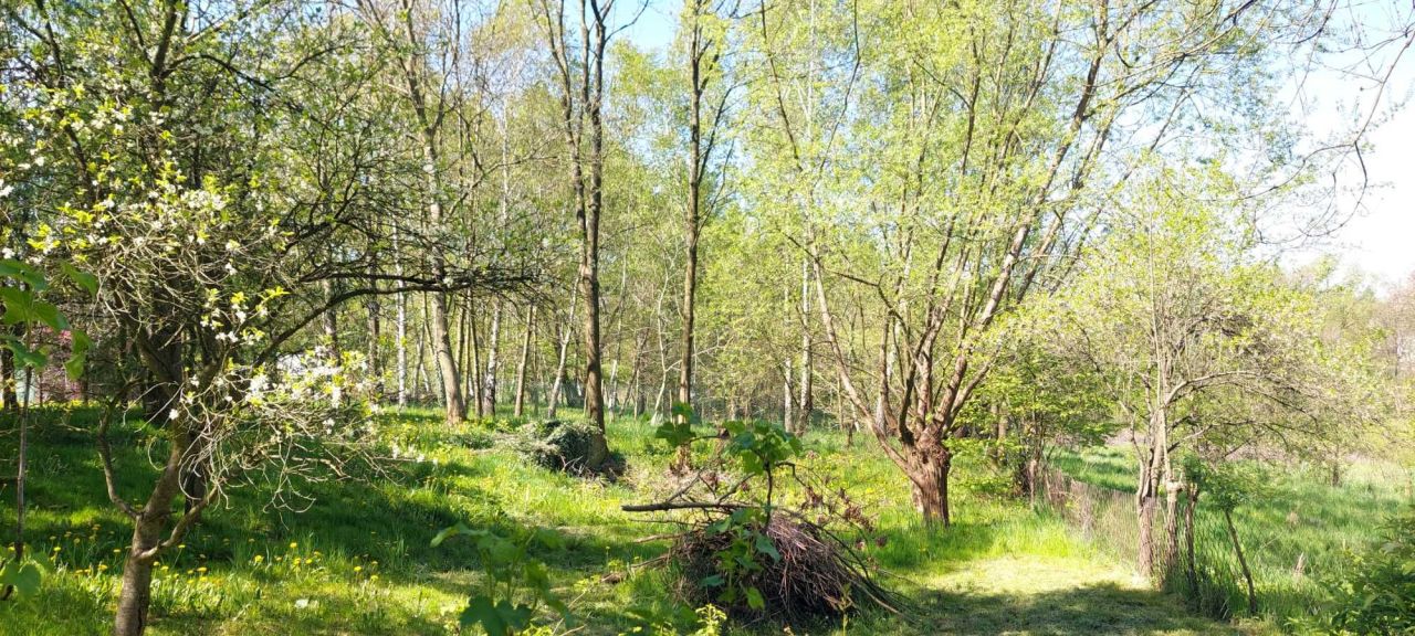 dom wolnostojący, 3 pokoje Gierałtowice, ul. Zatorska. Zdjęcie 2