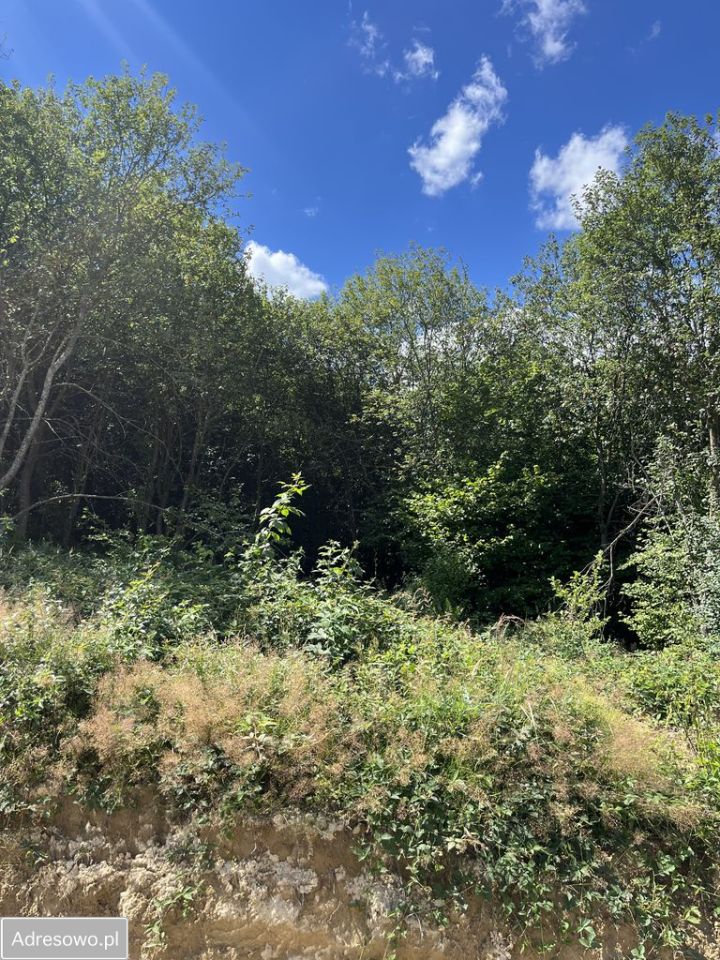 Działka rolna Teleśnica Oszwarowa. Zdjęcie 5