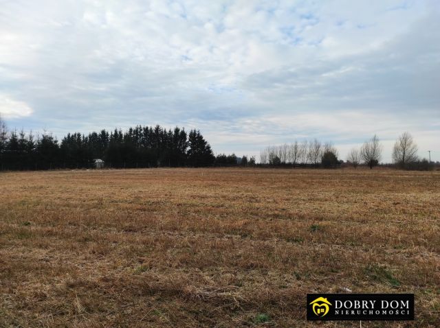 Działka budowlana Niewodnica Nargilewska. Zdjęcie 2