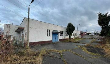 Hala/magazyn Świdnica, ul. Wrocławska