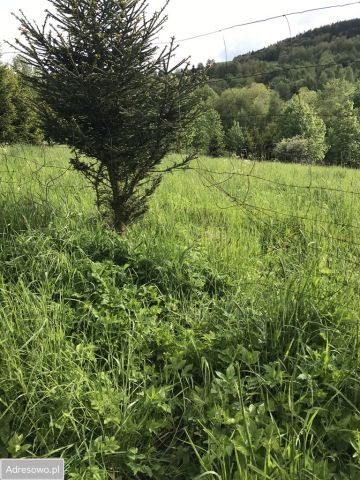 Działka budowlana Walim, ul. Anny Jagiellonki. Zdjęcie 1