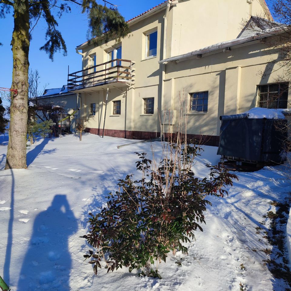 Hala/magazyn Żabia Wola. Zdjęcie 3