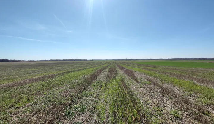 Działka rolna Ostrów Lubelski Dzielnica Lubelska, ul. Poniatowskiego