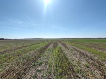 Działka rolna Ostrów Lubelski Dzielnica Lubelska, ul. Poniatowskiego. Zdjęcie 2