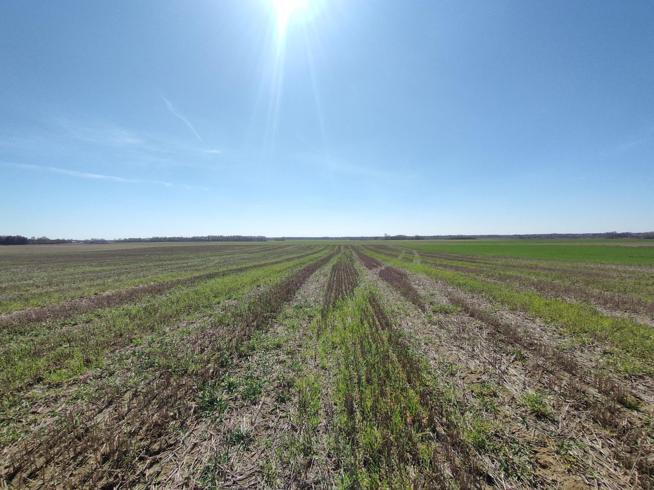 Działka rolna Ostrów Lubelski Dzielnica Lubelska, ul. Poniatowskiego. Zdjęcie 3