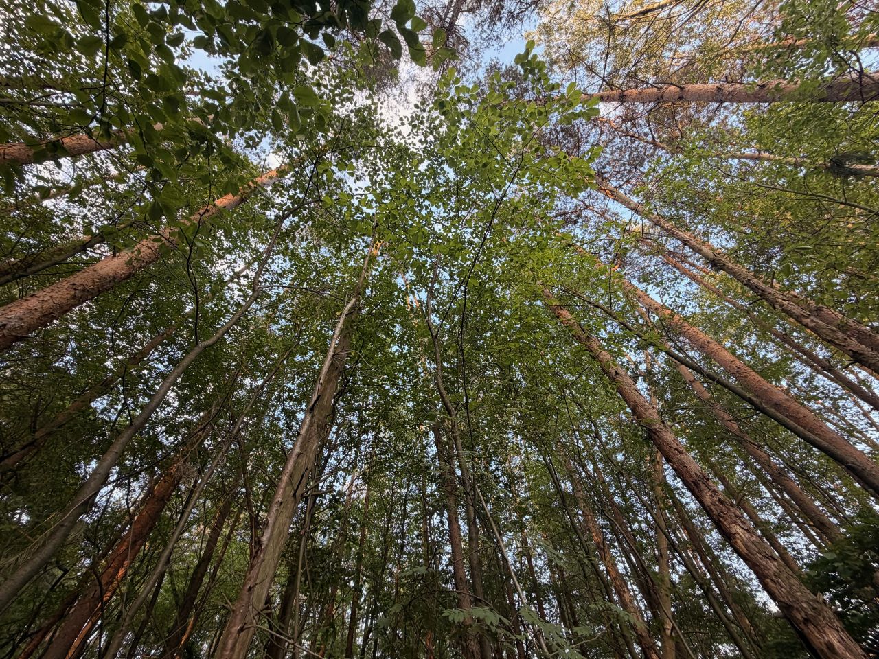Działka budowlana Bukowiec Bukowiec Duży, ul. Fiołkowa. Zdjęcie 4