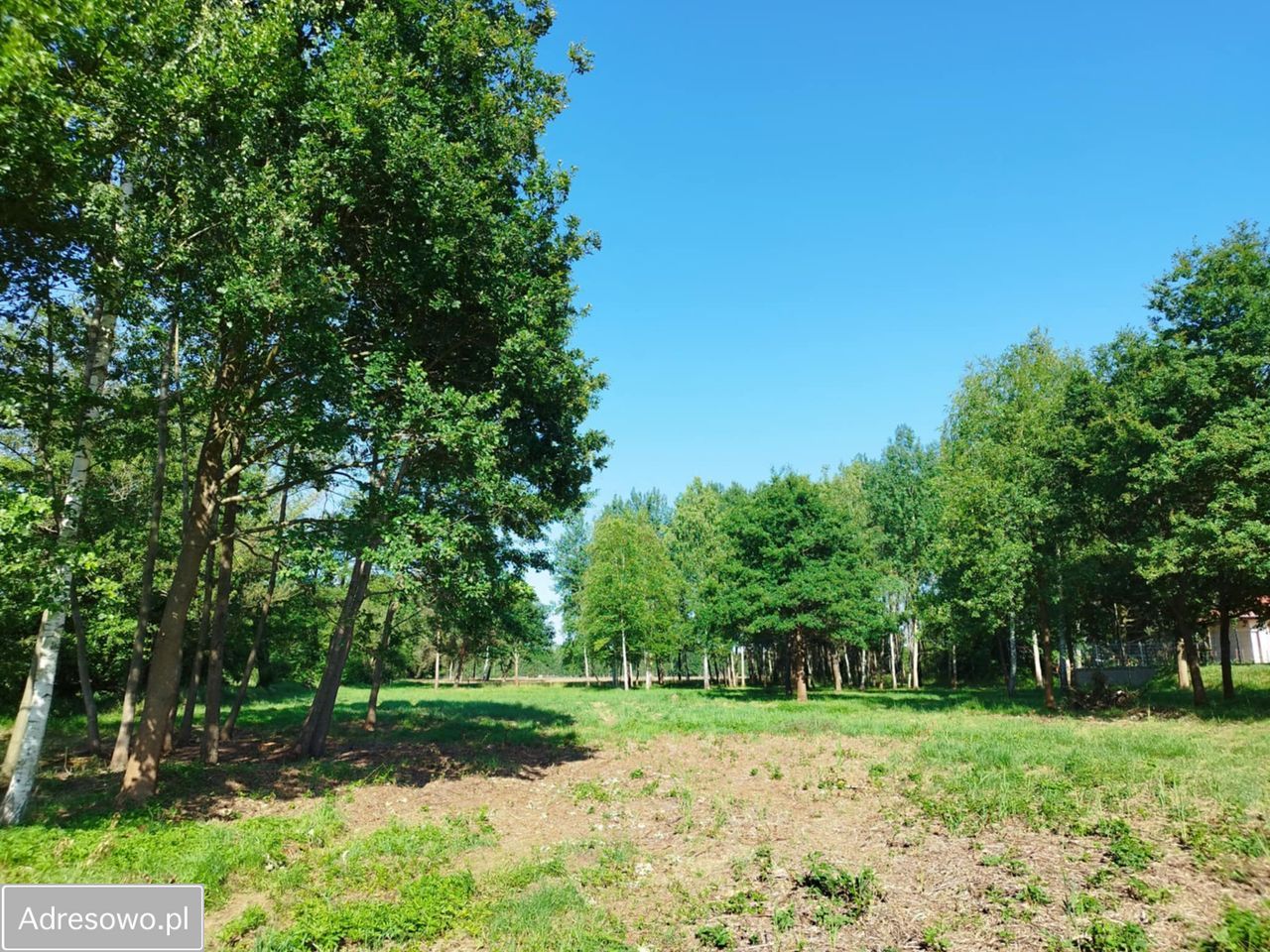 Działka budowlana Rokitki. Zdjęcie 2