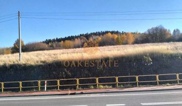 Działka na sprzedaż Bodzentyn  6364 m2