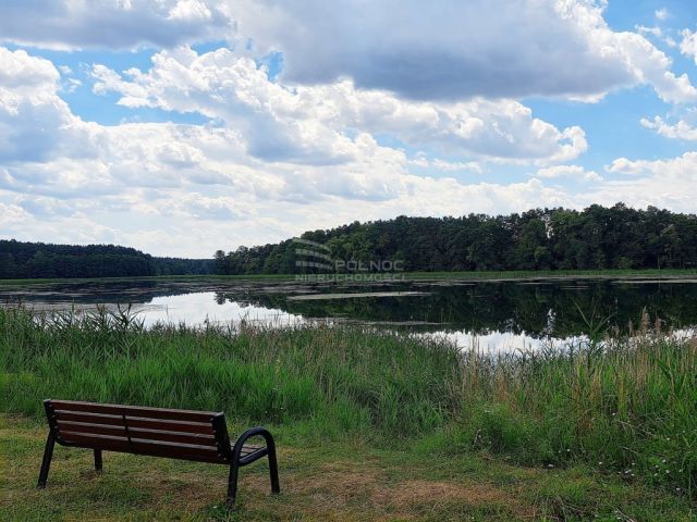 dom wolnostojący, 4 pokoje Kurki. Zdjęcie 4