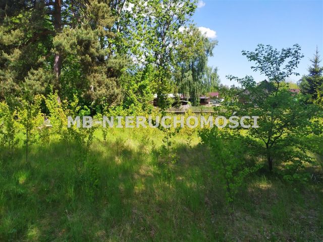 dom Dąbrowy. Zdjęcie 9