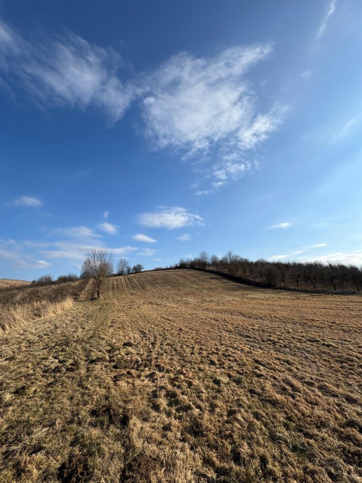 Działka budowlana Rzeczyca Mokra, Rzeczyca Mokra. Zdjęcie 4