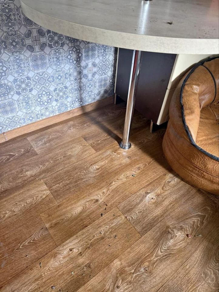 Działka rod Siedlce. Zdjęcie 6