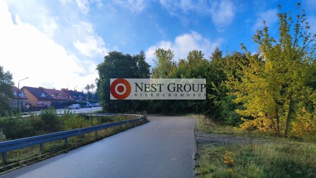 Działka inwestycyjna Wierzbica. Zdjęcie 14