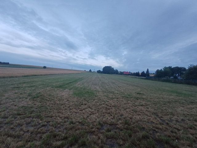Działka rolno-budowlana Sierbowice. Zdjęcie 1