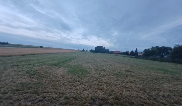 Działka rolno-budowlana Sierbowice