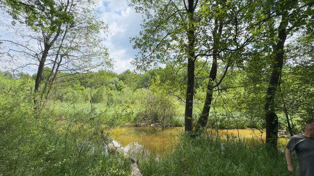 Działka budowlana Dąbrowa Górnicza Błędów, ul. Zagórcze. Zdjęcie 5
