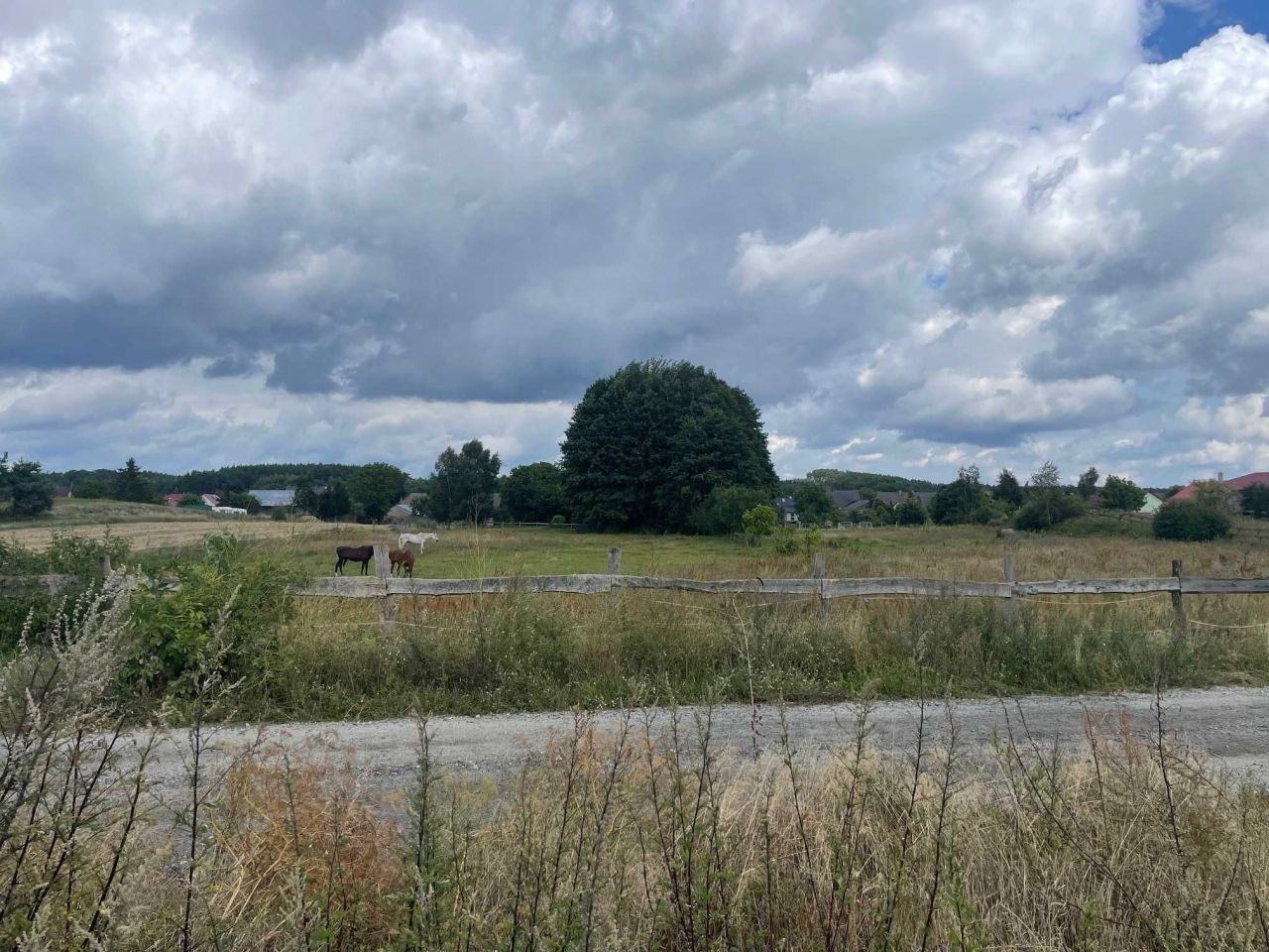 Działka budowlana Stołuń. Zdjęcie 5