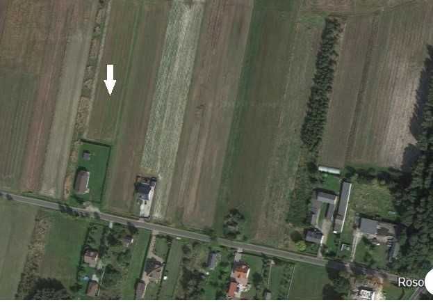 Działka rekreacyjna Rososza. Zdjęcie 2